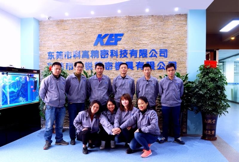 Trung Quốc Dongguan Kegao Precision Technology Co., Ltd. hồ sơ công ty